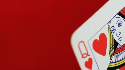 the queen  of hearts 