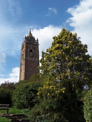 Fototapeta na wymiar Tower among trees