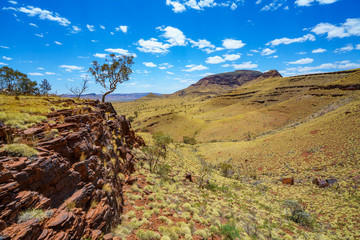 hiking on mount bruce in karijini national park, western australia 83