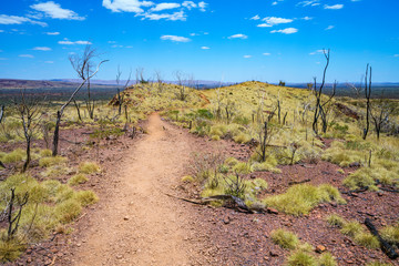 hiking on mount bruce in karijini national park, western australia 99