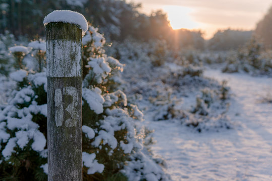 Brachter Wald schneebedeckt