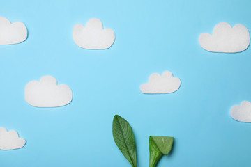 Creative flat lay composition with Easter bunny ears of green leaves and clouds on color background