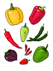 Big vector set with different varieties of pepper. Beautiful element of vegetables design.