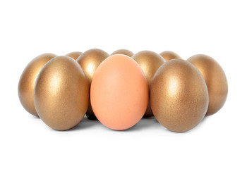 Golden eggs with different one on white background