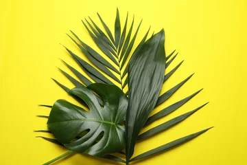 Zelfklevend Fotobehang Flat lay composition with tropical leaves on color background © New Africa