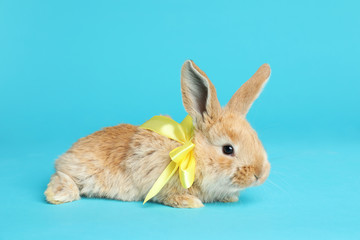 Adorable furry Easter bunny with cute bow tie on color background