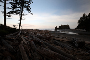 Obraz premium Olympic National Park, WA, USA. 
