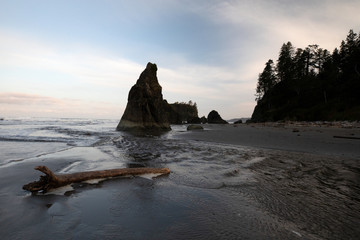 Olympic National Park, WA, USA. 