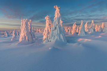 Panoramic view of beautiful winter wonderland scenery in scenic golden evening light at sunset with clouds in Scandinavia, northern Europe Colorful winter sunrise in mountains. Christmas time concept 