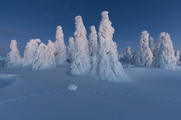 Panoramic view of beautiful winter wonderland scenery in scenic golden evening light at sunset with clouds in Scandinavia, northern Europe Colorful winter sunrise in mountains. Christmas time concept 