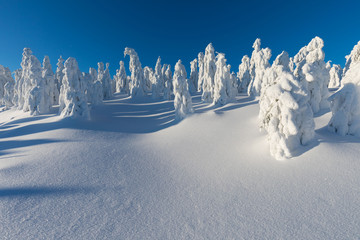 Panoramic view of beautiful winter wonderland scenery in scenic golden evening light at sunset with...