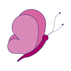 butterfly cartoon symbol isolated