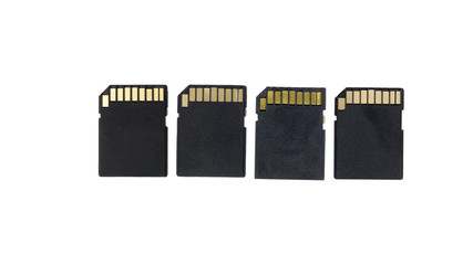 SD memory cards isolated on white