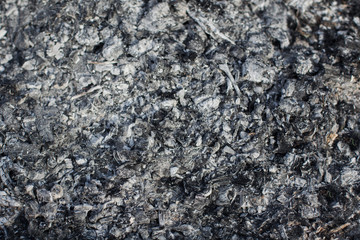 Remains of wood coal and ashes after the combustion of firewood