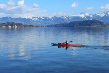 Kanut auf dem Zürichsee
