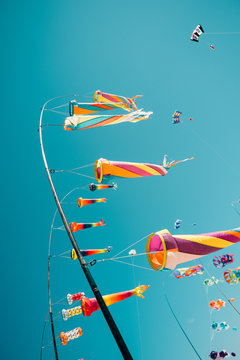 Blue sky and colourful kites in the wind - Rømø, Denmark