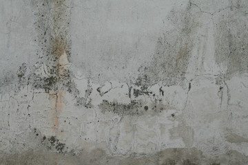  Close up of a concrete wall with moisture and breaks
