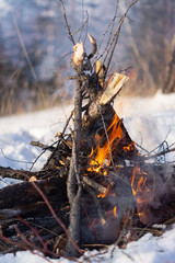 Close-up of a burning bonfire from dry branches in the winter forest