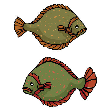 recommend clip art: Realistic flounder cartoon vector illustration motif set. Hand drawn halibut