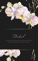Vector black banner with Luxurious orchid flowers for invitation, sales, packaging, natural cosmetics, perfume. Space for text.
