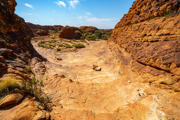 hiking in kings canyon in the sun, watarrka national park, northern territory, australia 6