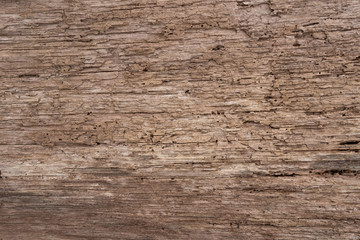 rotting brown wood texture
