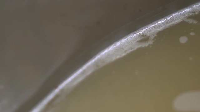 Fermentation white wine, Languedoc, France