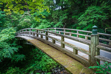 Fototapeta na wymiar Traditional japanese wooden bridge in Nikko, Japan