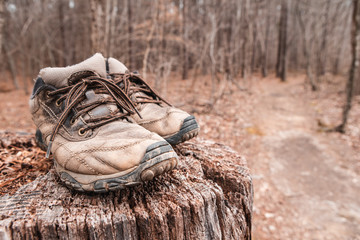 dirty hiking boots on tree stump beside trail
