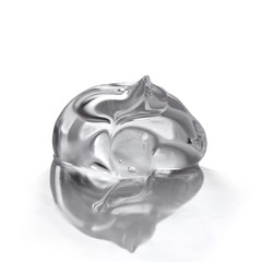 gel drop macro isolated