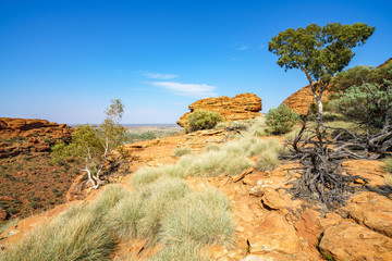 hiking in kings canyon in the sun, watarrka national park, northern territory, australia 28