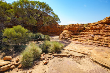 hiking in kings canyon in the sun, watarrka national park, northern territory, australia 35