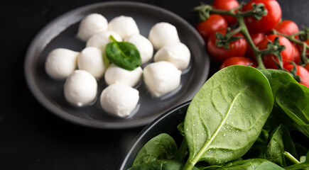 Ingredients for Caprese Salad with mozzarella, tomatoes cherry and baby spinach