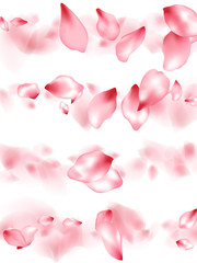 Pink sakura flower flying petals isolated on white vector background.