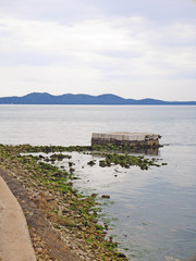 Kamienisty brzeg z glonami © karolinaklink