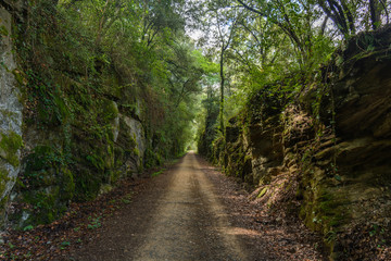 Fototapeta na wymiar rural path surrounded by stones & trees