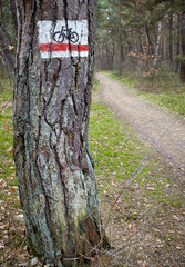 Bike trail sign on a tree.