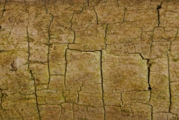 brown gray wooden background from old pine planks with cracks