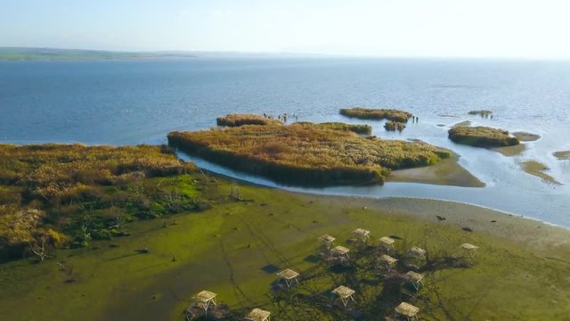 aerial drone flying top down, over bird nests, near impressive forest, side to azure sea  and lagoon, golden sun time, in Manyas Bird Paradise, Balikesir, Turkey