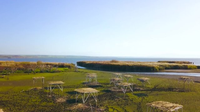 drone flying upwards, revealing The Sea of Marmara and little island near the shore, over bird nests, authentic vegetation, in Manyas Bird Sanctuary, Balikesir, Turkey