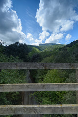Fototapeta na wymiar wooden fence, path & nature