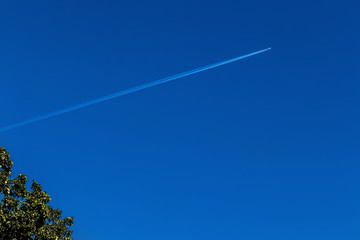 Flugzeug mit Kondensstreifen, Baum im Vordergrund