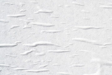 White creased poster texture