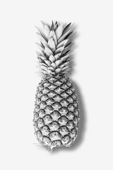 Silvery Pineapple. Minimum summer concept.