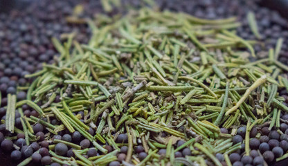 Dry rosemary with black mustard seeds closeup. Spices background. Organic healthy food. Cuisine and cooking concept. Herbs in the kitchen. Aroma herbs and spices. Black pepper seeds with rosemary. 