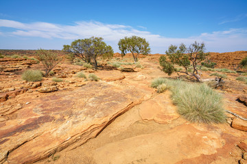 hiking in kings canyon in the sun, watarrka national park, northern territory, australia 49