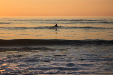 Surfer surfing in the sea, during a sunset