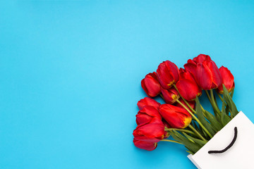 Bouquet of brightly red tulips in a white gift bag on a blue background. Conception of congratulations and a gift. Flat lay, top view