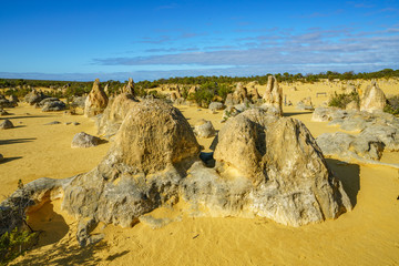 pinnacles of nambung national park in the morning, western australia 3