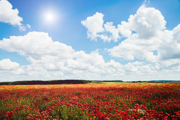 Captivating scene of the countryside with white fluffy clouds.